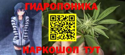 прущие крисы Краснознаменск