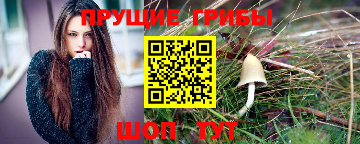 Галлюциногенные грибы мицелий Жигулёвск